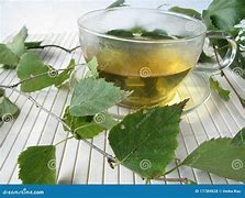 Image result for Birch Leaves for Tea