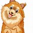 Image result for Pomeranian Dog Coloring Pages