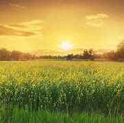 Image result for Late Summer Scenes