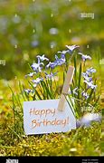 Image result for Spring Birthday Flowers