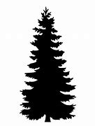 Image result for Evergreen Tree Clip Art