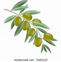 Image result for Olive Branch and Arrows