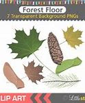 Image result for Fall Nature Clip Art