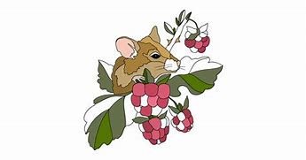 Image result for Mice Coloring Pages