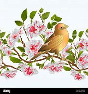 Image result for Small Bird On Branch