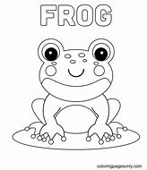 Image result for Baby Frog Coloring Pages