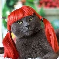 Image result for Funny Red Hair Woman's Wig