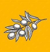 Image result for Blakc and White Clip Art Olive Branch Engravable