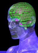 Image result for Artificial Brain