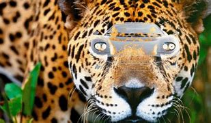 Image result for Jaguar 7 Seater Car