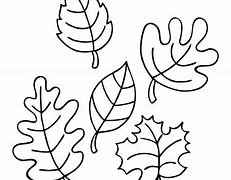 Image result for Fall Leaf Print