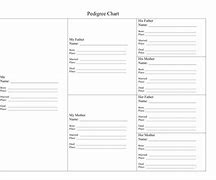 Image result for Fancy Pedigree Chart