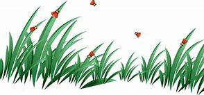 Image result for Dead Grass Cartoon