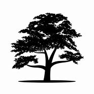 Image result for Big Tree SVG