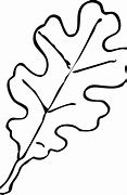 Image result for Oak Leaf Outline