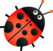 Image result for Ladybug On Leaf Clip Art