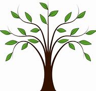 Image result for Tree Branches Cartoon