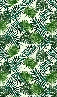 Image result for Jungle Aesthetic