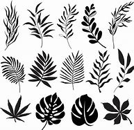 Image result for Line Art Leaf Vector