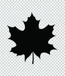 Image result for Basic Leaf Outline