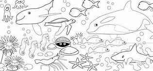 Image result for Sea Coloring Pages for Kids