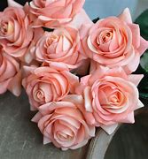 Image result for Pale Coral Rose