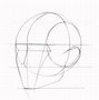 Image result for Loomis Head Drawing