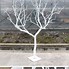 Image result for Dry Tree Branches Decoration