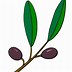 Image result for Olive Branch Clipart