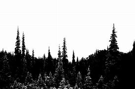 Image result for Forest Poster