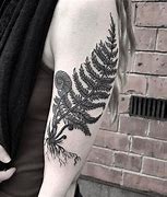 Image result for Fern Leaf Tattoo Stencil