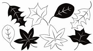 Image result for Fall Leaves Black and White