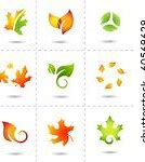 Image result for Leafs Illustration Branch