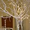 Image result for Dry Tree Branches Decoration