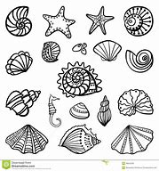 Image result for Beach Shells Coloring Pages