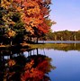 Image result for Fall Leaves Desktop Background Lake