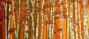 Image result for Birch Trees Bark Eye-Shaped