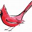 Image result for Colourful Bird Drawing