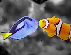 Image result for Finding Nemo Dory Real Fish