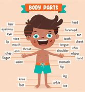 Image result for My Body Parts Coloring Pages