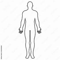 Image result for Freepik Human Body Outline