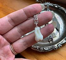 Image result for Human Tooth Necklace