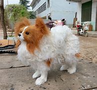 Image result for Papillon Dog Toys