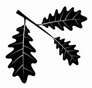 Image result for Leaf Silhouette Black and White