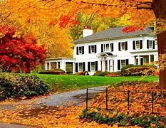 Image result for Fall in CT