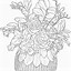 Image result for Poppies Coloring Pages