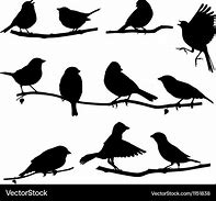 Image result for Bird Singing On Branch in Silhouette