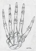 Image result for Skeleton Hand Pencil Sketch