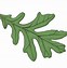 Image result for oak leaf outline