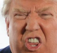 Image result for Donald Trump Human Design Chart